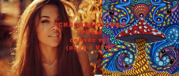 тгк Янаул