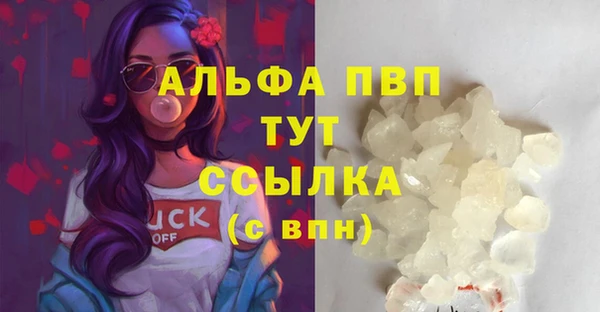 PSILOCYBIN Няндома