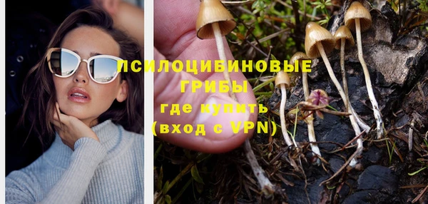 PSILOCYBIN Няндома
