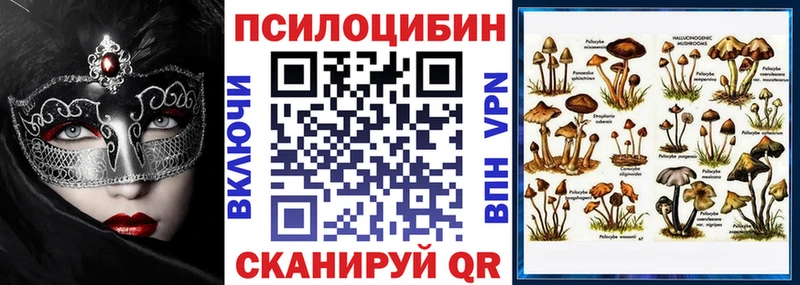 hydra зеркало  Терек  Галлюциногенные грибы мицелий 